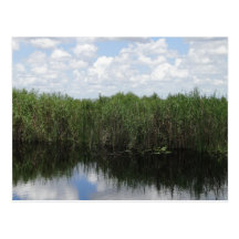 tropische Wasserstraße Postkarte