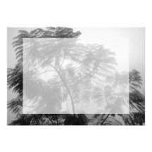 Tropischer Baum Schwarzweiss im Nebel Einladungskarten