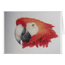 Tropischer Macaw Grußkarten