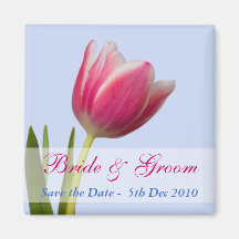 Tulpe auf Blau, Save the Date Magnets