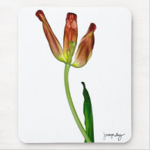 "Tulpe" durch J. Maya Luz Mousepads