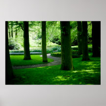 Tulpe-Garten DSC0849 Posterdruck