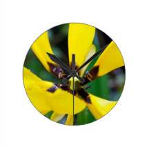 Tulpe gelb uhr
