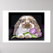 Tulpe Posterdruck