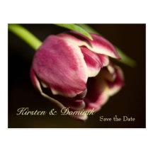 Tulpe • Save-the-Date-Postkarte