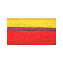 "Tulpe Stripes" Leinwand-Drucke Leinwanddruck