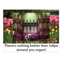 Tulpen postkarten
