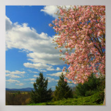 Turm-Hügel-Garten Wachusett Mountain View Posterdruck