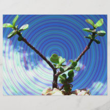 Two branches plant with spiral.jpg flyers