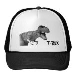 Tyrannosaurus Rex Baseball Kappen