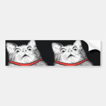 Überraschtes Katzen-Keuchen Meme - Autoaufkleber