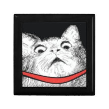 Überraschtes Katzen-Keuchen Meme - Geschenkbox
