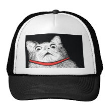 Überraschtes Katzen-Keuchen Meme - Hut Netzkappen