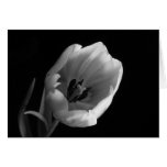 überwundene Tulpe Karten