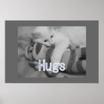 Umarmt Miezekatze Plakat