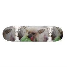 Unbehaartes chinesisches HundeSkateboard mit Haube Skateboardbrett