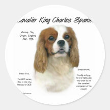 Unbekümmerte Geschichte Königcharles Spaniel-(Blen Runde Aufkleber