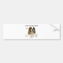 Unbekümmerte Geschichte Königcharles Spaniel-(Blen Autosticker