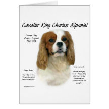 Unbekümmerte Geschichte Königcharles Spaniel-(Blen Karten