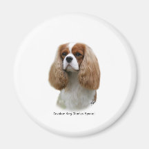 Unbekümmerter Königcharles Spaniel Magnete
