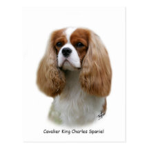 Unbekümmerter Königcharles Spaniel Postkarte