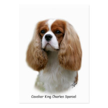 Unbekümmerter Königcharles Spaniel Visitenkarten Vorlagen