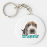 Unberechtigtes Keychain Schlüsselbänder