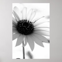 Unberechtigtes Plakat