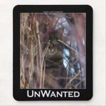 Unerwünschte wilde Katze Mousepad