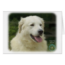 Ungar Kuvasz 8W02-17 Grußkarten