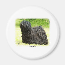 Ungar Puli 8W48D-03 Magnete