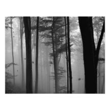 UNHEIMLICHES BAUM- DES WALDESBlätter B&W Individuelle Ankündigskarten