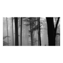UNHEIMLICHES BAUM- DES WALDESBlätter B&W Fotogrußkarten