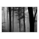 UNHEIMLICHES BAUM- DES WALDESBlätter B&W Karte