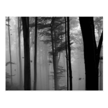 UNHEIMLICHES BAUM- DES WALDESBlätter B&W Postkarte