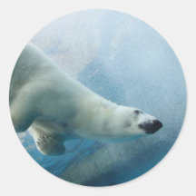 Unterwasserfoto eines Eisbären Runde Aufkleber