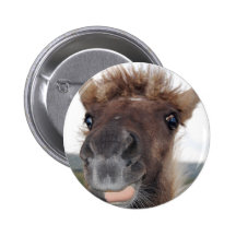 Unverschämter Pony-Knopf Anstecknadelbuttons