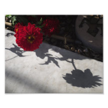 Ursprüngliche Blume und Schatten Fotodruck