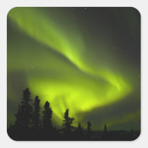 USA, Alaska, Chena heiße Quellen. Aurora Borealis  Quadratsticker