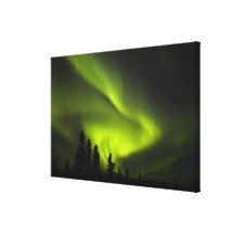 USA, Alaska, Chena heiße Quellen. Aurora Borealis  Galerie Falt Leinwand