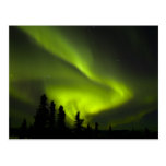 USA, Alaska, Chena heiße Quellen. Aurora Borealis  Postkarten