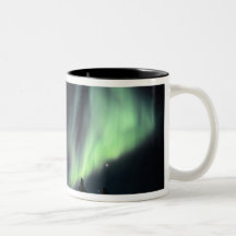 USA, Alaska, Chena heiße Quellen. Aurora Teehaferl