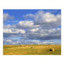 USA, Nebraska, Morrill County. Goldenes Heu Fotografie