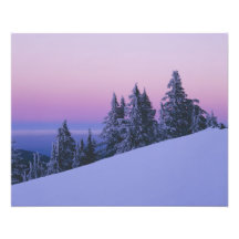 USA, Oregon, Deschutes staatlicher Wald, Dämmerung Kunstfotos