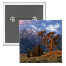 USA, Wyoming, großartiges Teton NP. Eine einzige Z Buttons