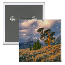 USA, Wyoming, großartiges Teton NP. Sonnenaufgang  Anstecknadelbuttons
