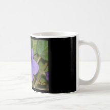 Usambaraveilchen coffe Becher Teetasse
