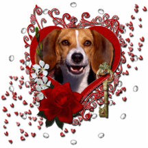 Valentines - Schlüssel zu meinem Herzen - Beagle Fotoausschnitt