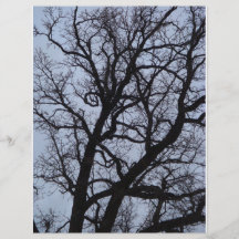 Vampirs-Baum Flyer Druck
