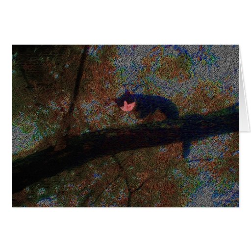 Van- GoghMiezekatze Karten